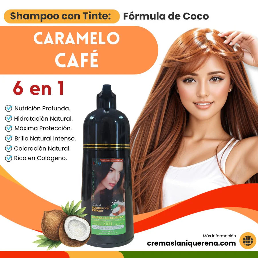 Shampoo con Tinte 6 en 1 con Aceite de Coco – La Niquereña (500 ml)