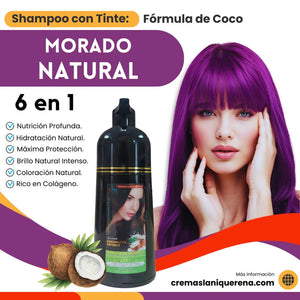 Shampoo con Tinte 6 en 1 con Aceite de Coco – La Niquereña (500 ml)