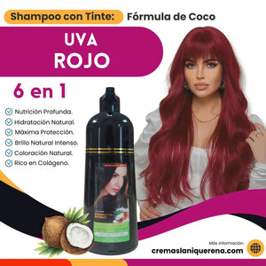 Shampoo con Tinte 6 en 1 con Aceite de Coco – La Niquereña (500 ml)