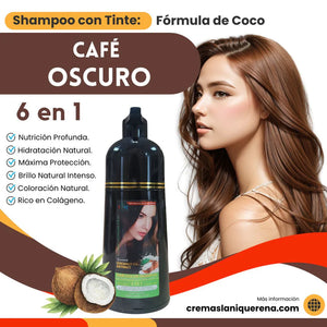 Shampoo con Tinte 6 en 1 con Aceite de Coco – La Niquereña (500 ml)