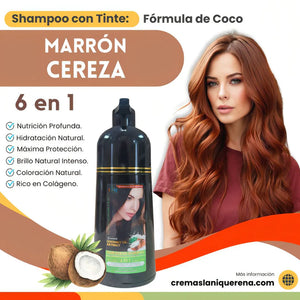 Shampoo con Tinte 6 en 1 con Aceite de Coco – La Niquereña (500 ml)